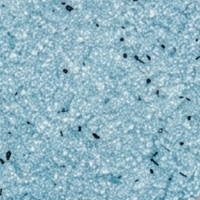 Marble Effect Blue